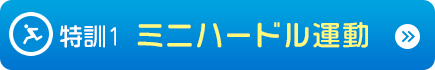 特訓1.迷你障礙運動